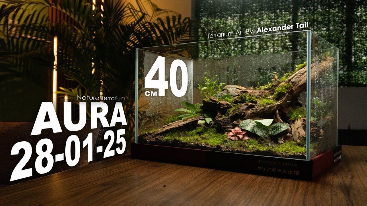 MIRAGE 🌿🍀 | Terrario - ECO-System