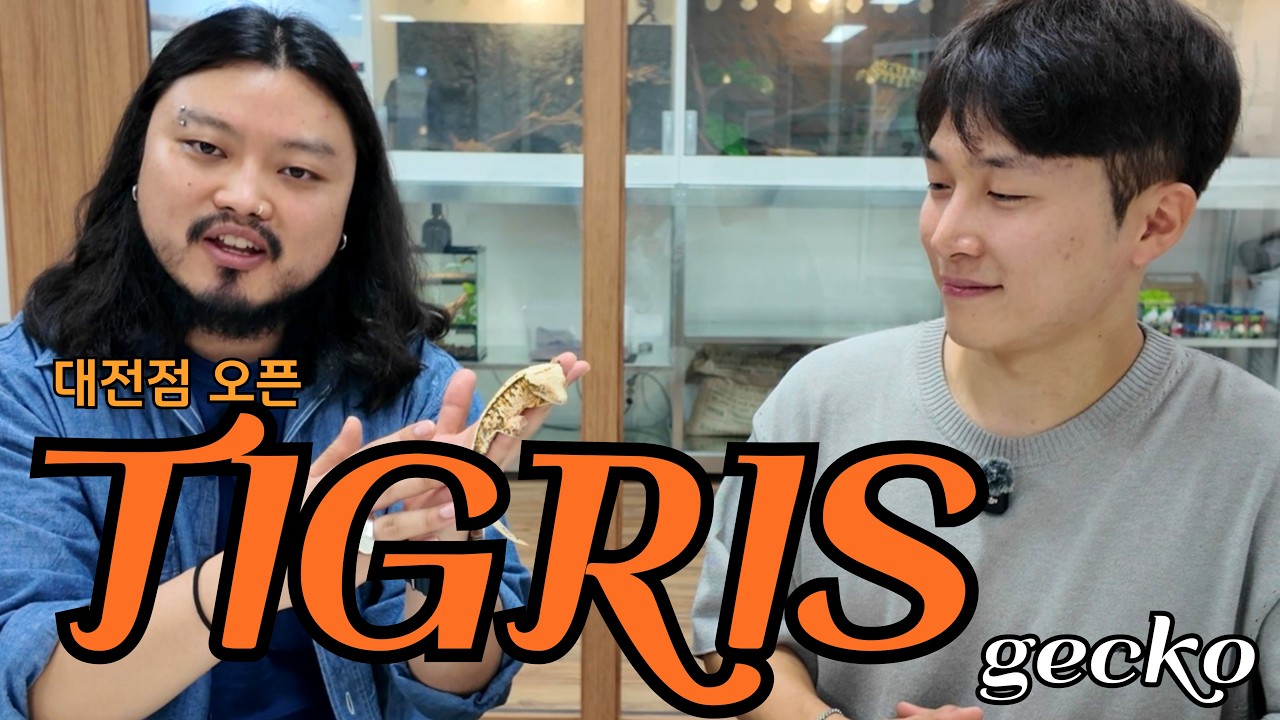 티그리스게코 대전으로 멀티 확장!!!