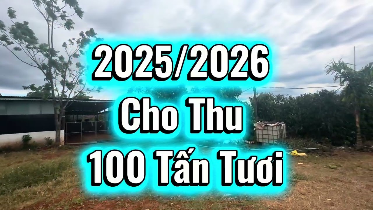 4ha4 cafe cách QL19 2km. Nguồn thu khủng.  Giá bán 13,5ty 