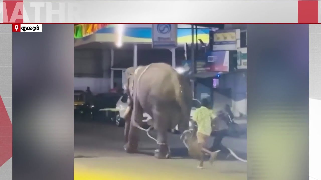 ഉത്രാളിക്കാവ് പൂരത്തിനിടെ ആന ഇടഞ്ഞു; നടുറോഡിൽ ഏറെനേരം പരിഭ്രാന്തി പരത്തി