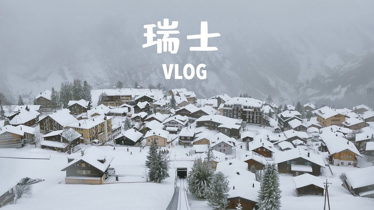 90后广西🇨🇳夫妻+两狗的瑞士🇨🇭旅行 这里的冬天有种冰雪世界的视感 | 旅游小感悟 | 两人两狗瑞士VLOG