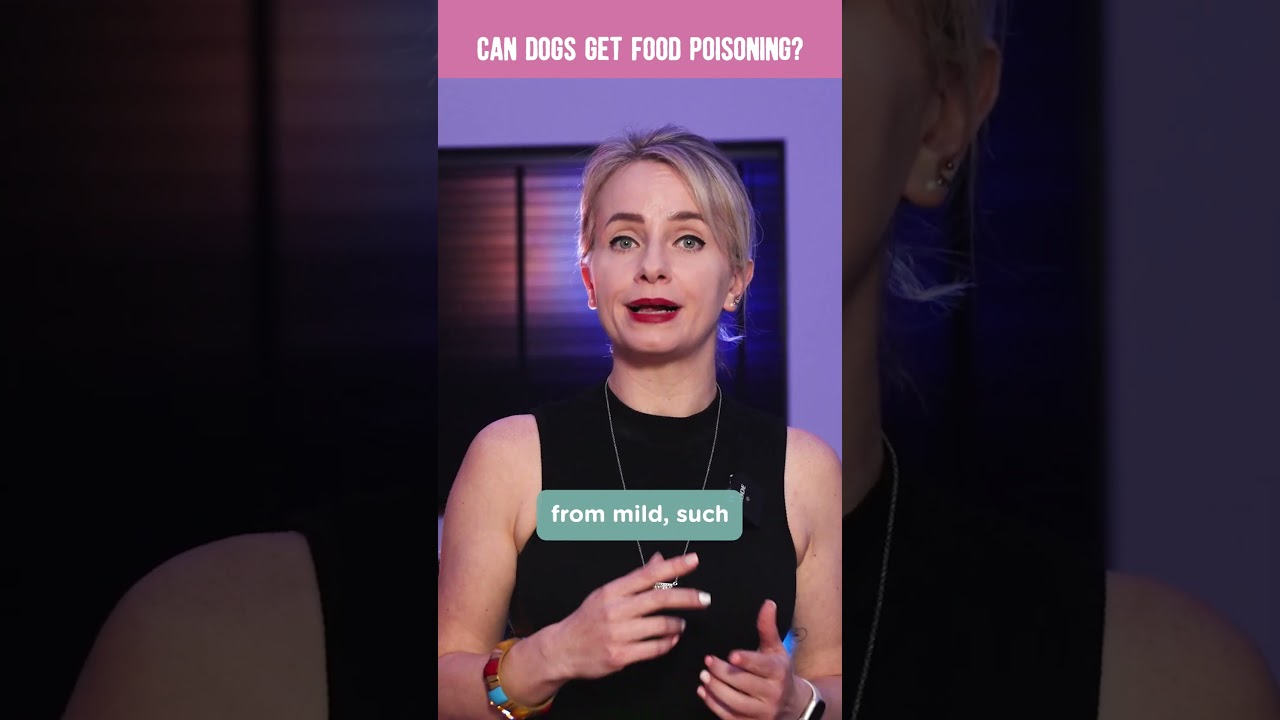 The real dangers of food poisoning in dogs