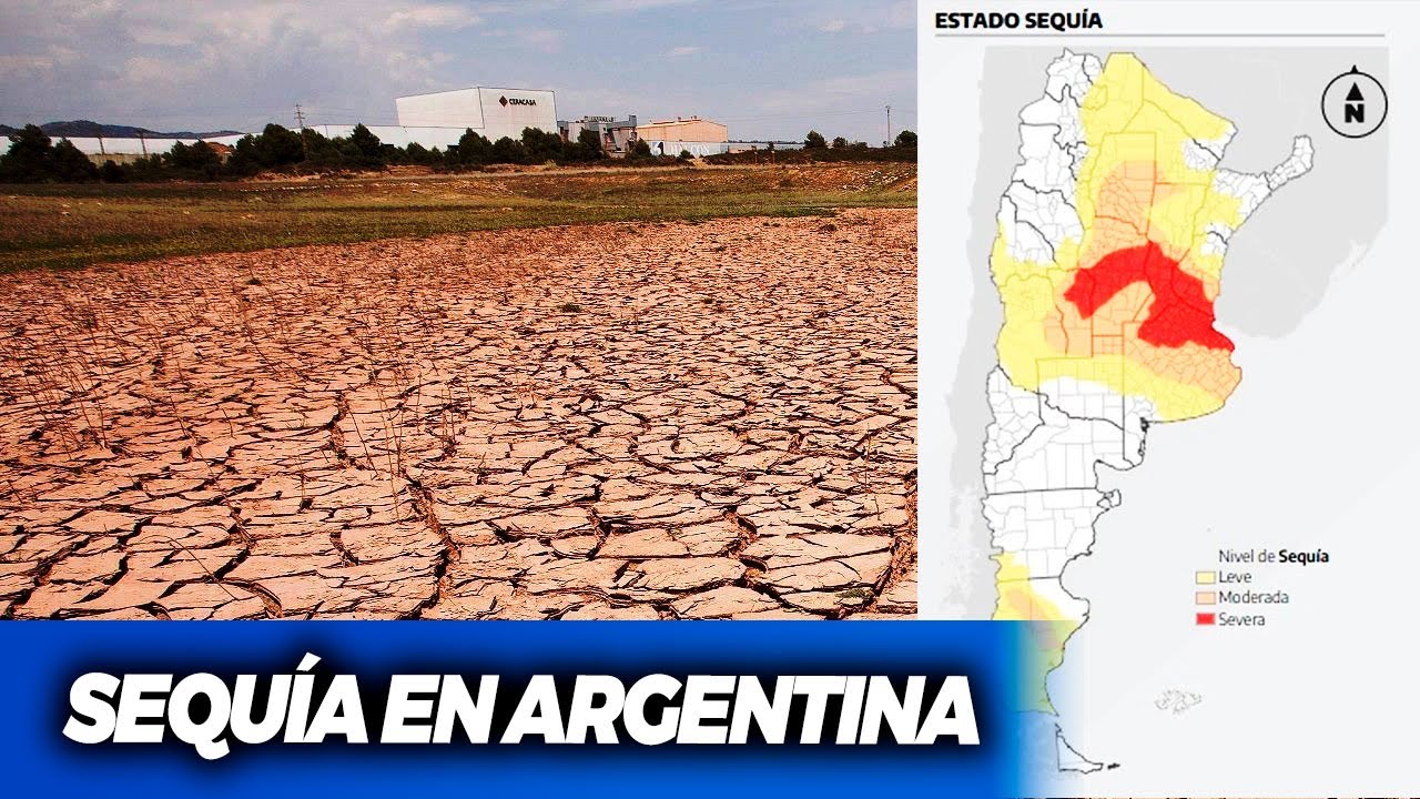 SEQUÍA EN ARGENTINA: Las vacas mueren de sed y se secan las lagunas