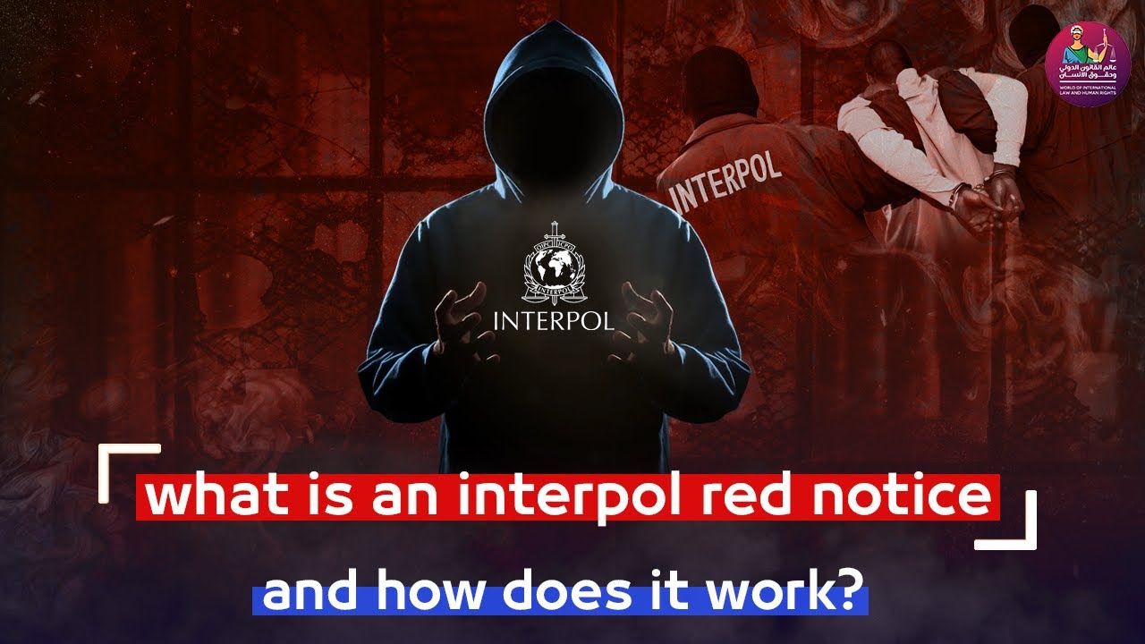 What is an Interpol red notice and how does it work ? Professor Amer fakhoury