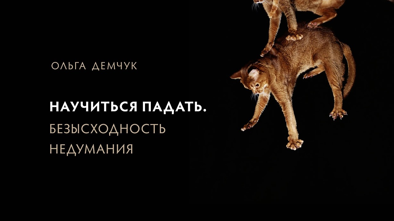 Научиться падать. Безысходность недумания