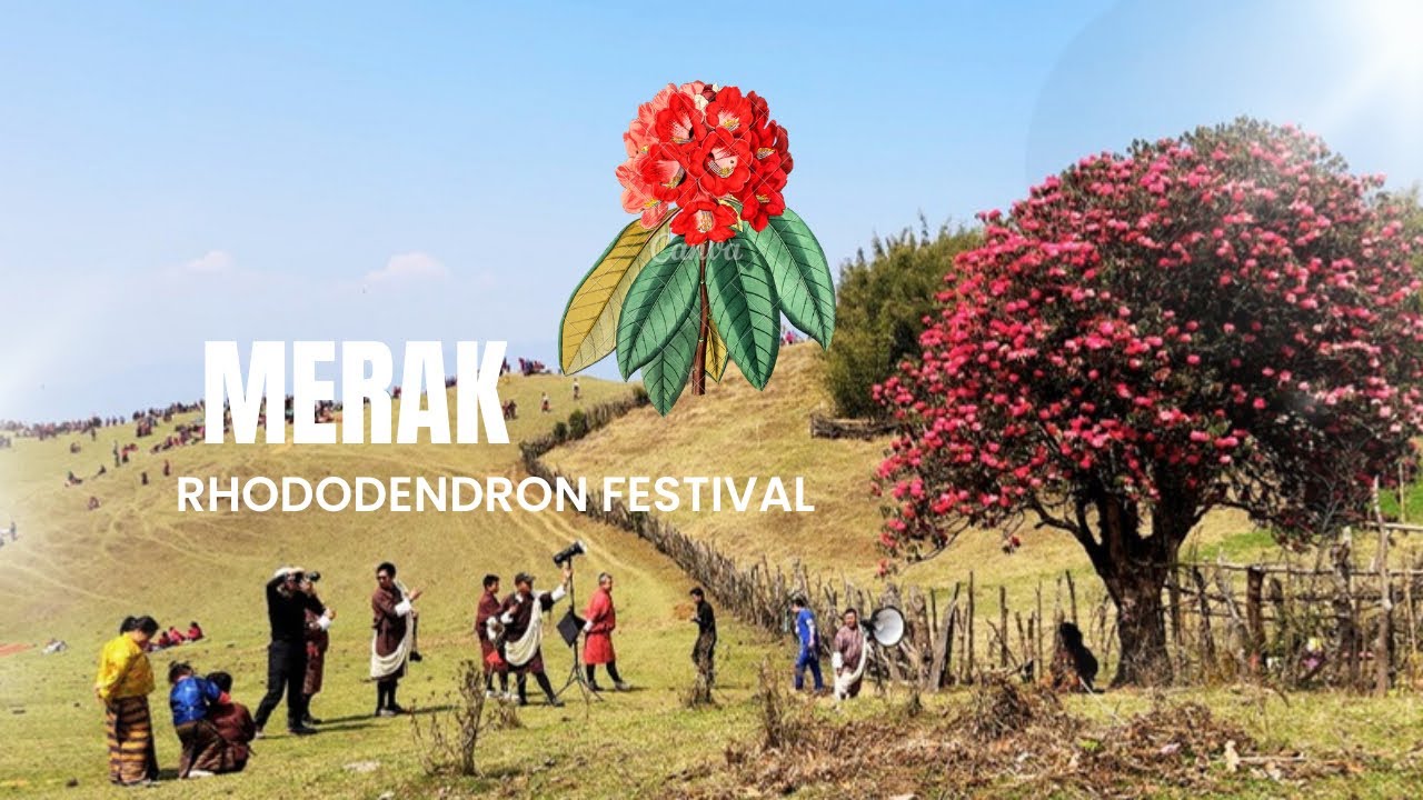 Rhododendron festival day1@PhuntshokSonam