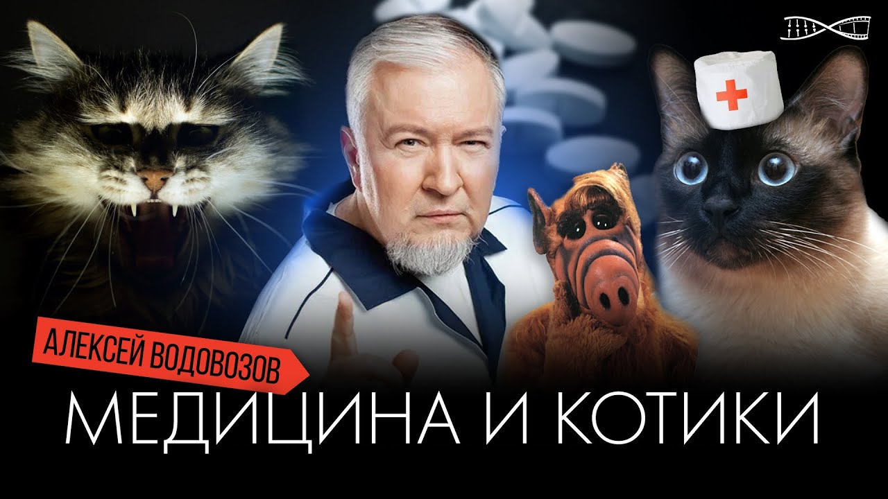Алексей Водовозов. Медицина и котики