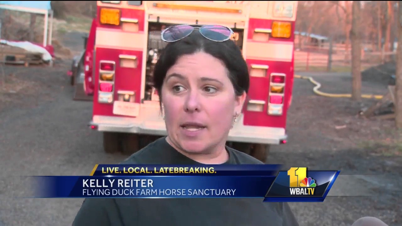 Video: Firefighters battle brush fire near Randallstown