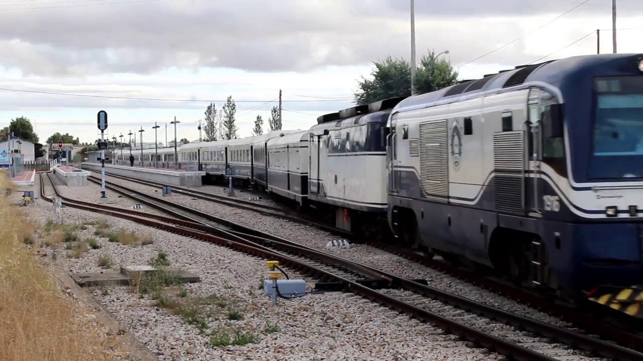 Feve Transcantábrico Clásico entre San Feliz de Torío y Ranedo de Curueño (León)_300.