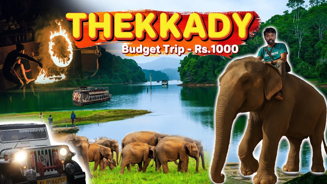 Thekkady in 1 Day: Budget Travel Guide & Top Places to Visit!