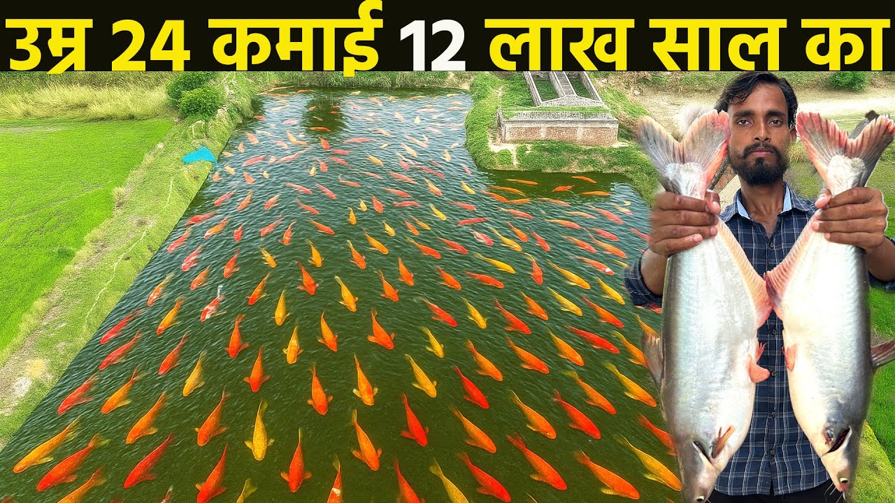 Fish farming॥fish farming business॥ Machli palan business kaise kare
