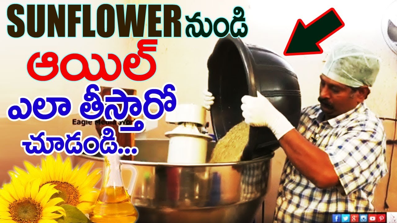 Natural Making of Sunflower oil | Eagle Media Works