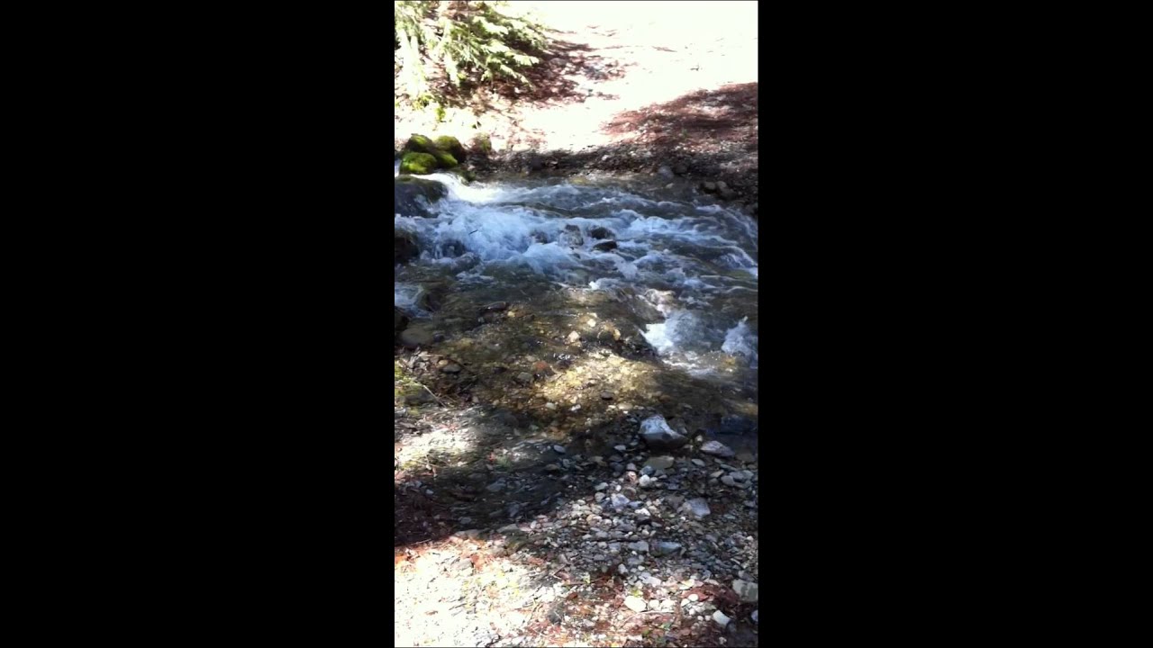 #4 Grant's Creek