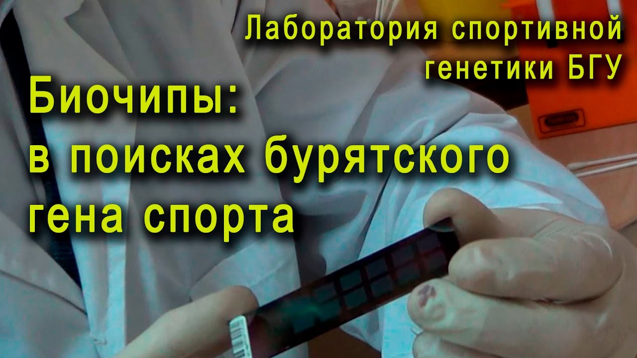 Биочипы: в поисках бурятского гена спорта LifeBsu#14