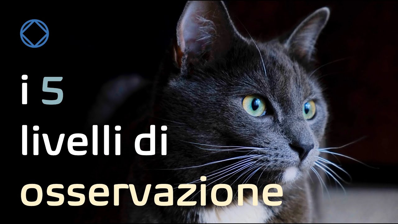 Osservazione & Ricerca interiore - Prima parte: Teoria (74)