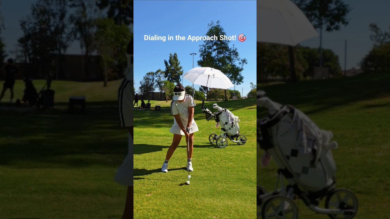 Approach Shot Practice at Don Knabe Golf Center ⛳  DAY524 7월30일 #golf #golfswing #골린이 #golftips