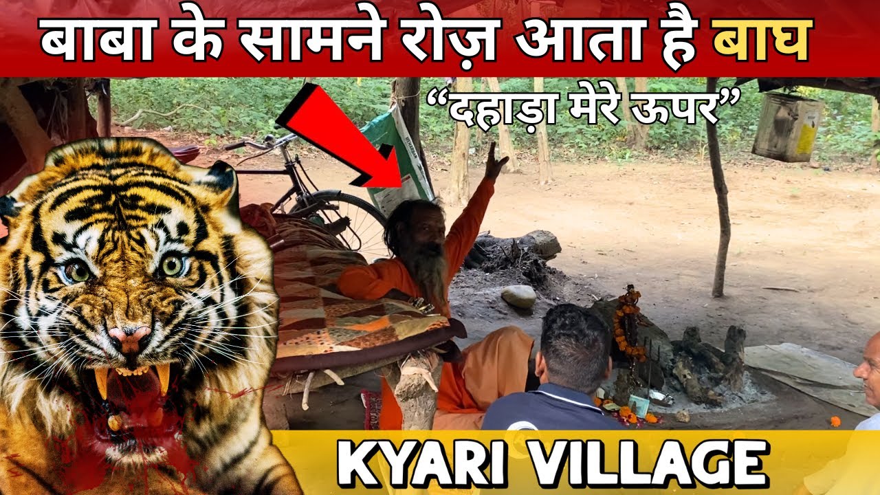 Jungle में बाबा बचे बाघ के हमले से | Kyari Village | Jim Corbett