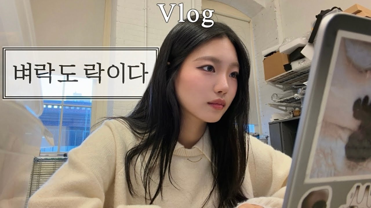 Vlog 뉴욕 눈폭풍? 벼락치기로 이겨냄.⚡️졸업 3달 남은 대학생의 막학기 버티기 븨로그  [대학생브이로그]