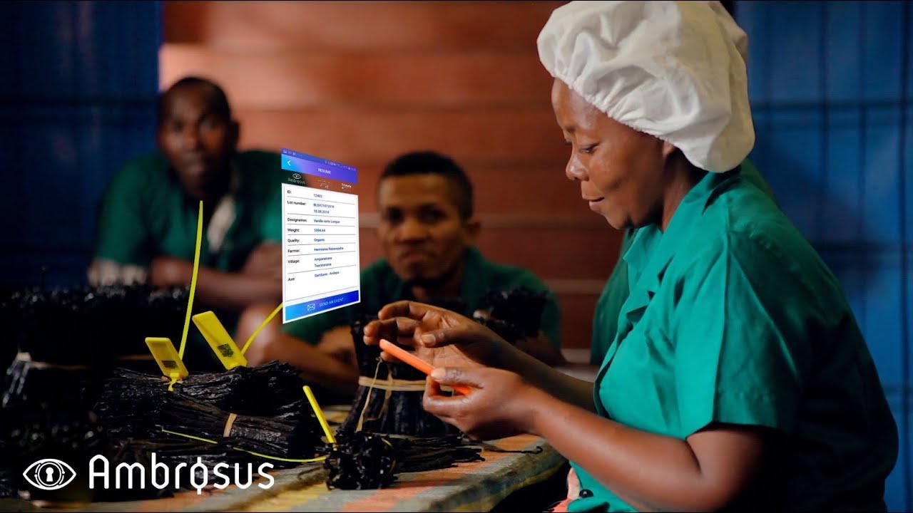 Ambrosus Documentary #1: Global Vanilla Supply Chain on AMB Blockchain - with Premium Goods