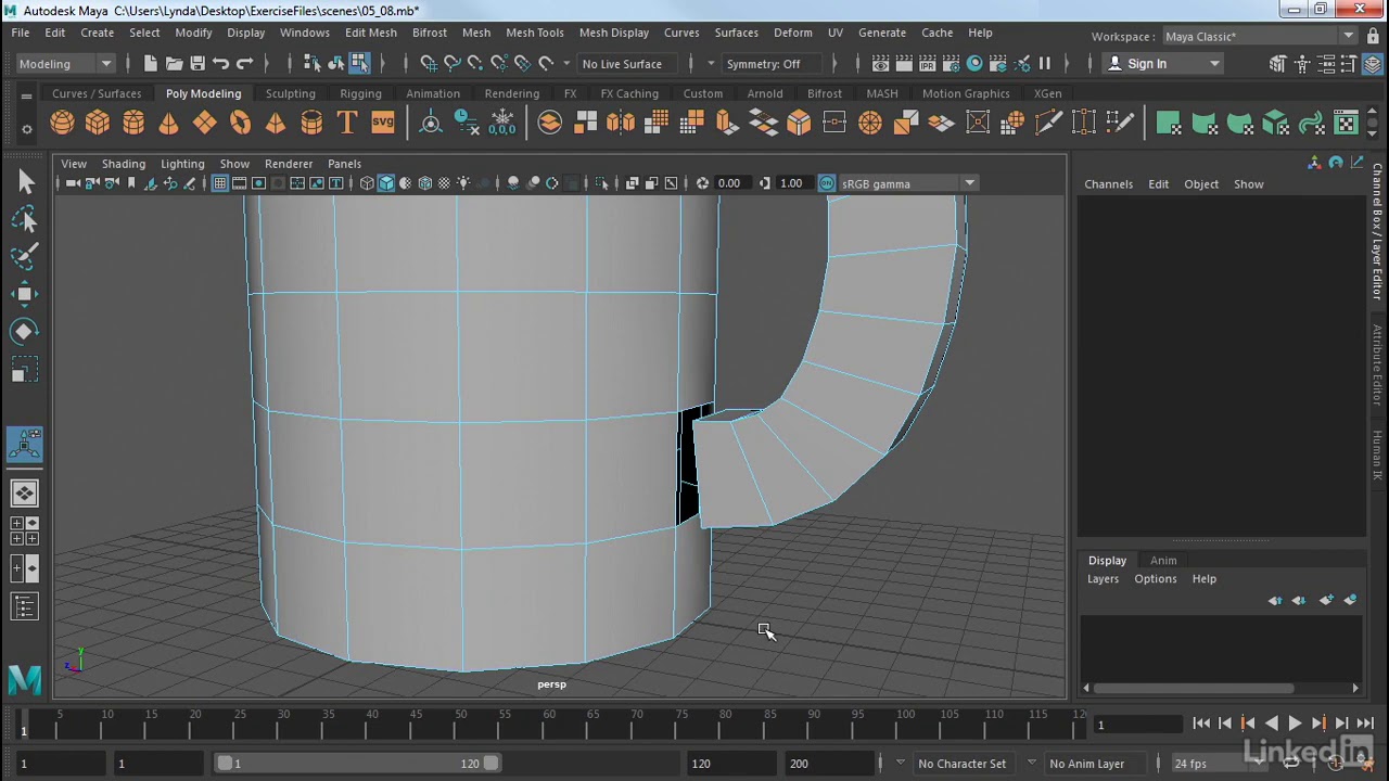 041 Use the Polygon Bridge tool