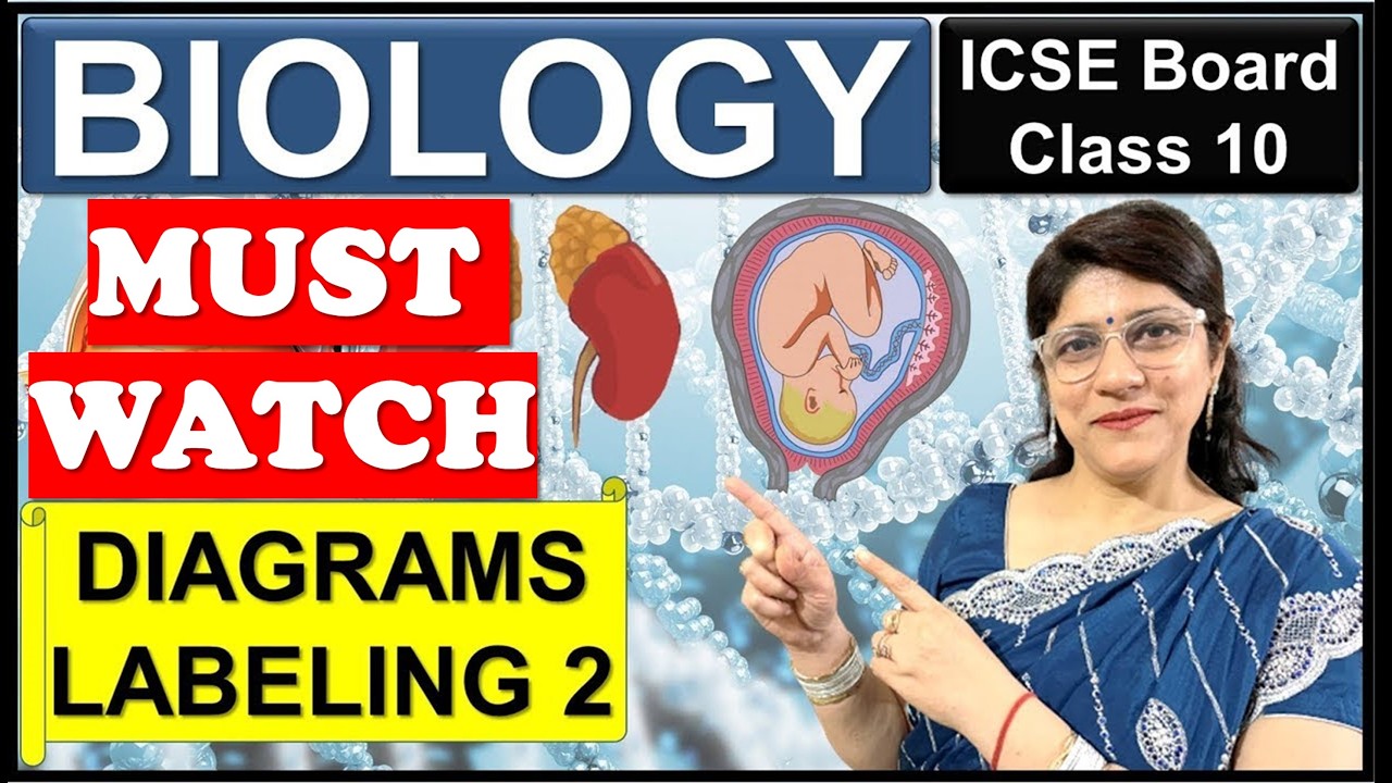 DIAGRAM BASED SURE SHOT QUESTIONS PART 2 | BIOLOGY BOARD EXAMS | ICSE CLASS 10