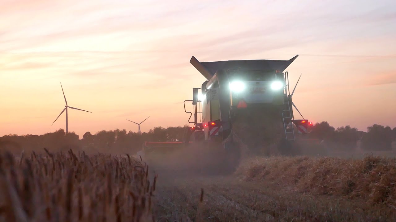 Klimatyczne Żniwa Jęczmienia 2025🌾Zachód słońca🔥Claas Trion 650🔥UR Berlak🔥Agro Wlkp