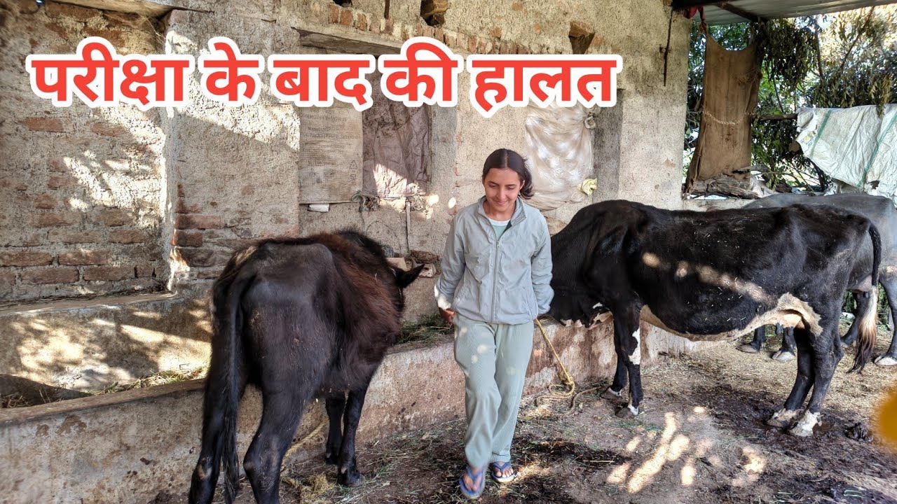 आज नानी के घर गई 😀 #reetmains #vlog #villagelife 
