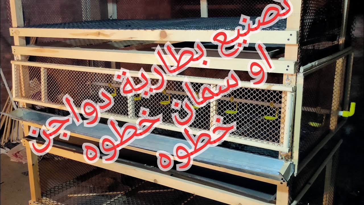 خطوات تصنيع بطارية فراخ او سمان  في المنزل
