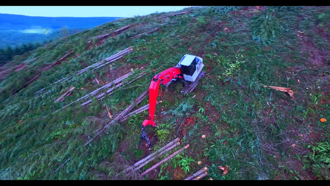 Shovel logging in the Pacific NW.