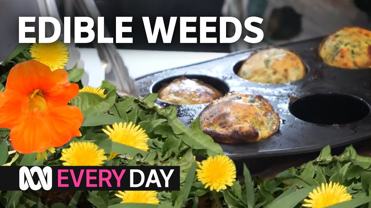Dawn keeps family of nine well-fed with edible backyard weeds | Everyday Gardening | ABC Australia