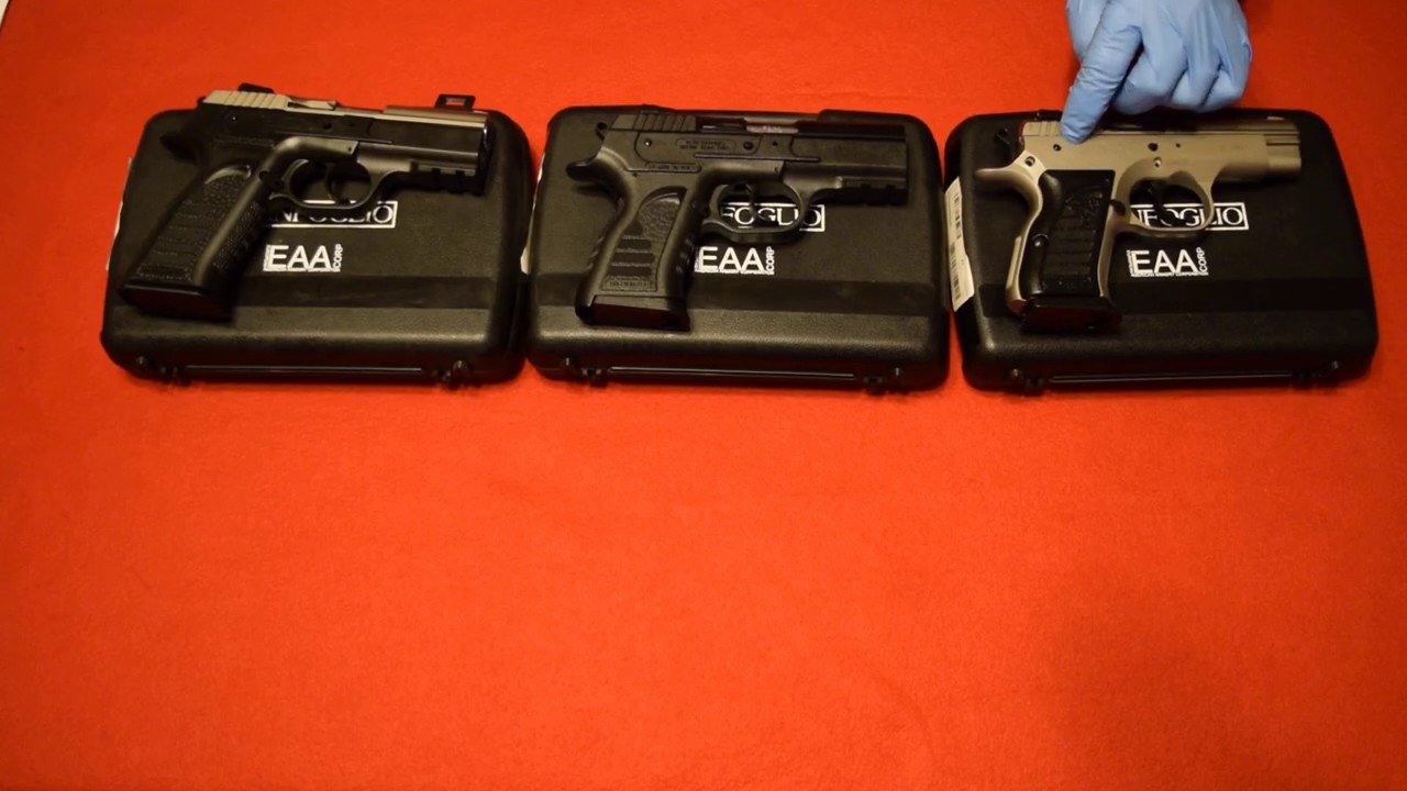 EAA Witness