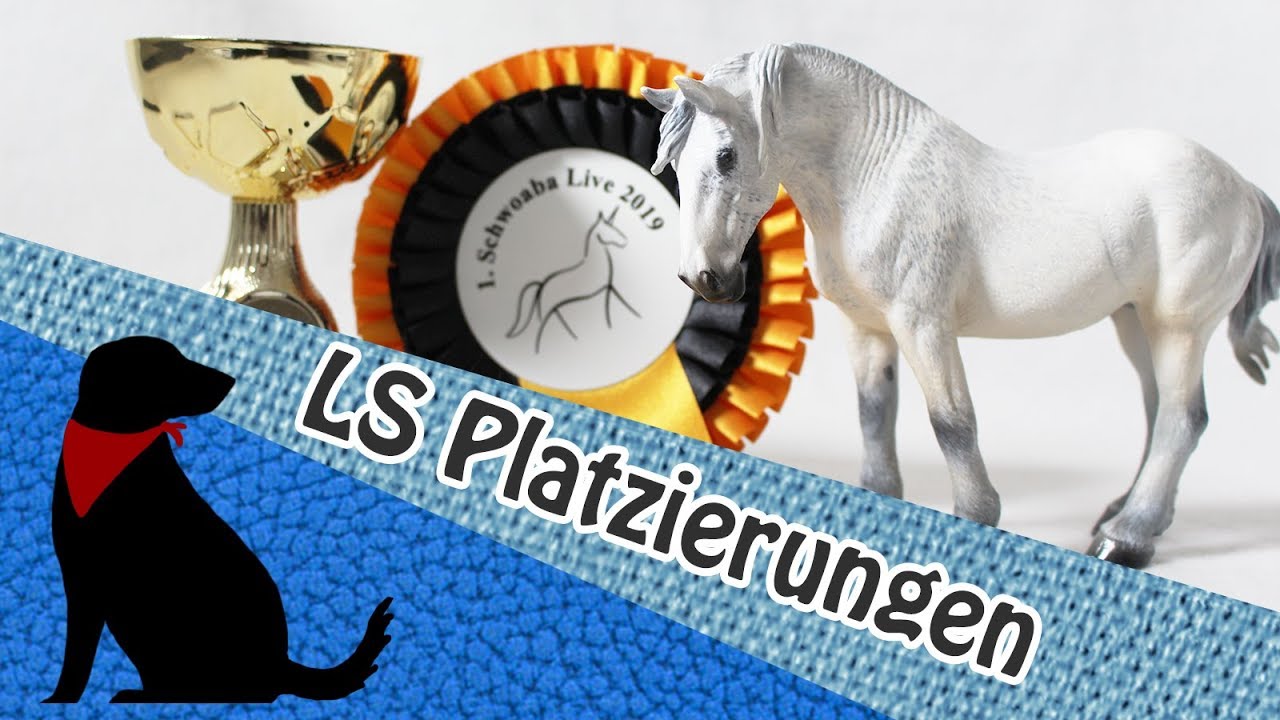 🏆PREISE ÜBER PREISE 🏆- Schwoaba Live 2019