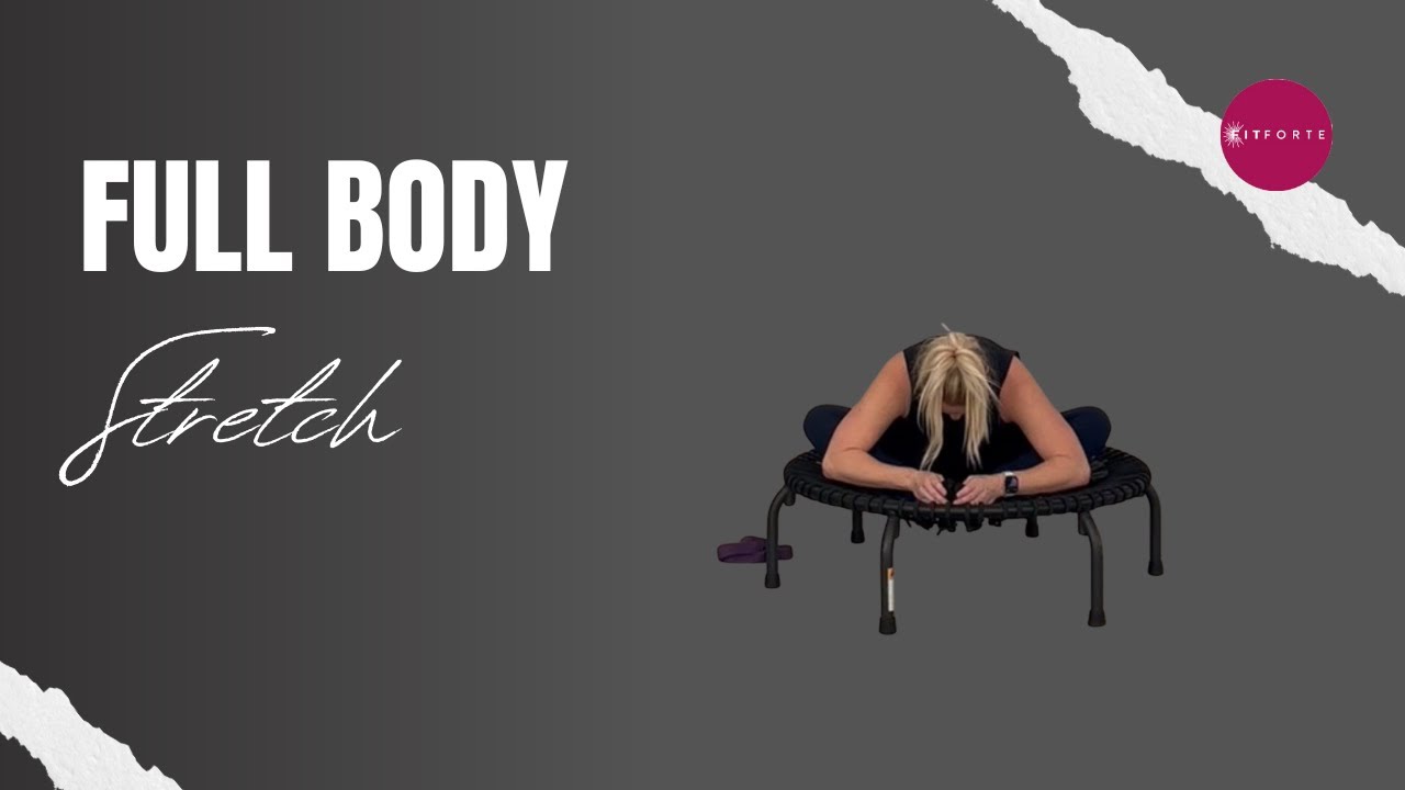Full Body Stretch