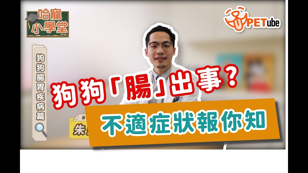 【🎥#哈寵PETube】 第131集 狗狗腸胃疾病篇 feat.朱道南醫師