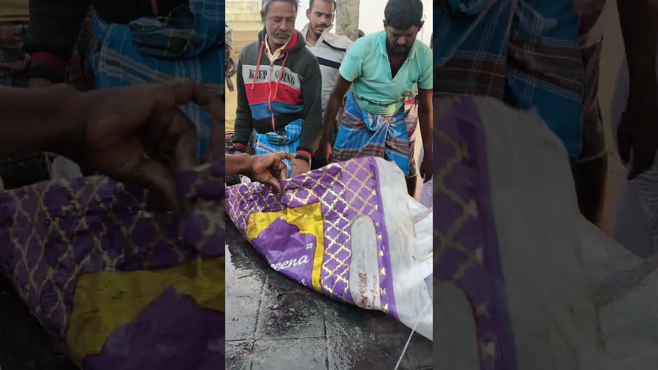முத்துக்குடா மீன் மார்க்கெட் மலிவான விலையில் மீன்கள் 