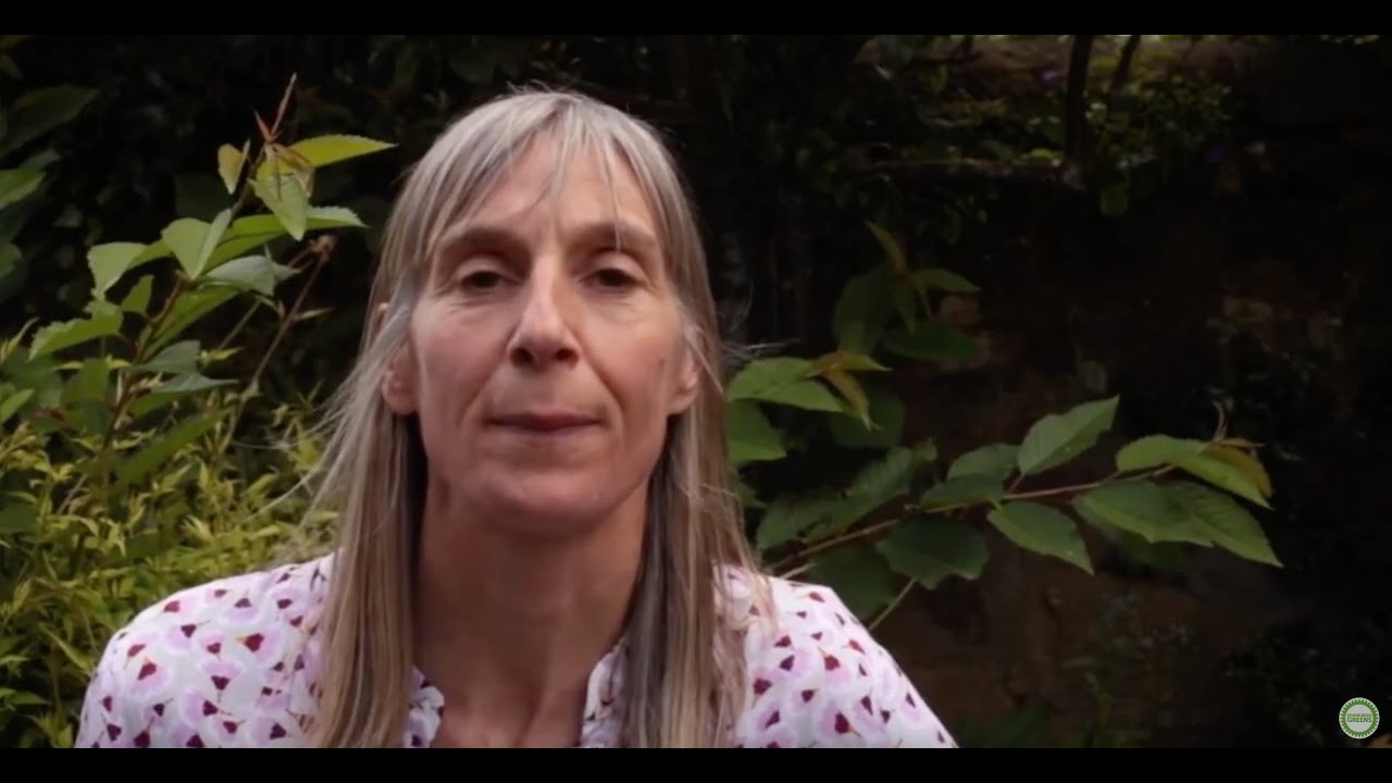 Jo Phillips - Palestine pledges
