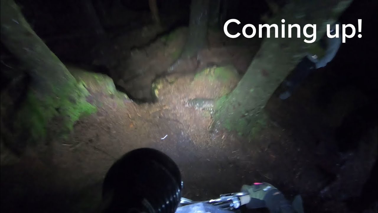 Grizedale forest Night ride | MTB 