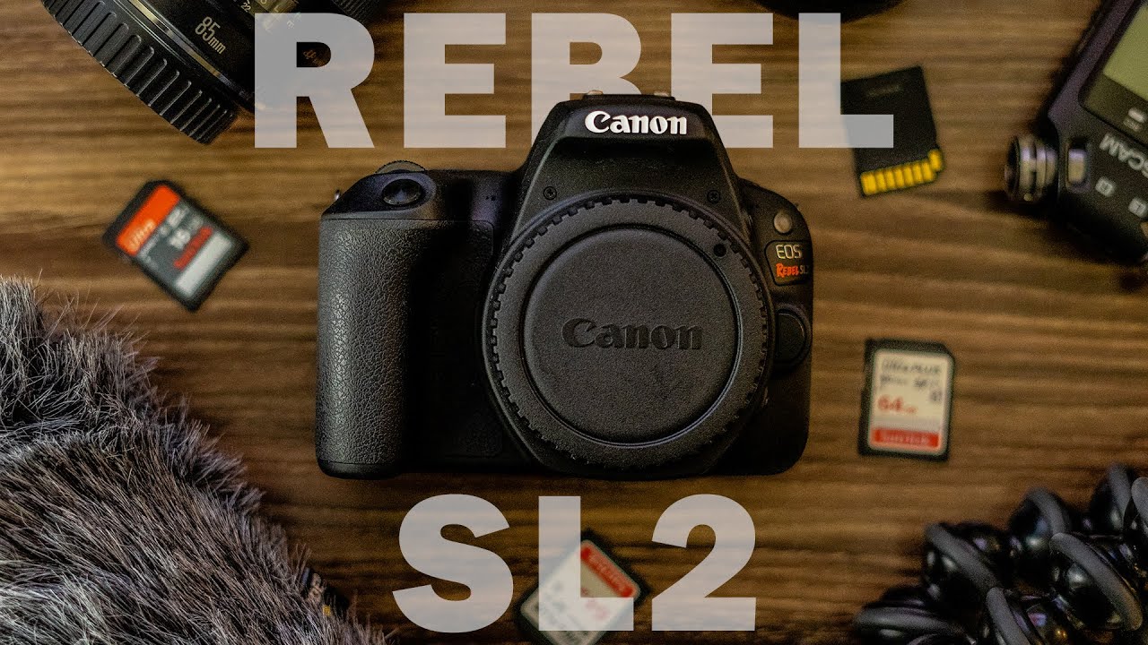 Canon EOS Rebel SL2 vs Sony A7ii | Canon SL2 Review (2020)