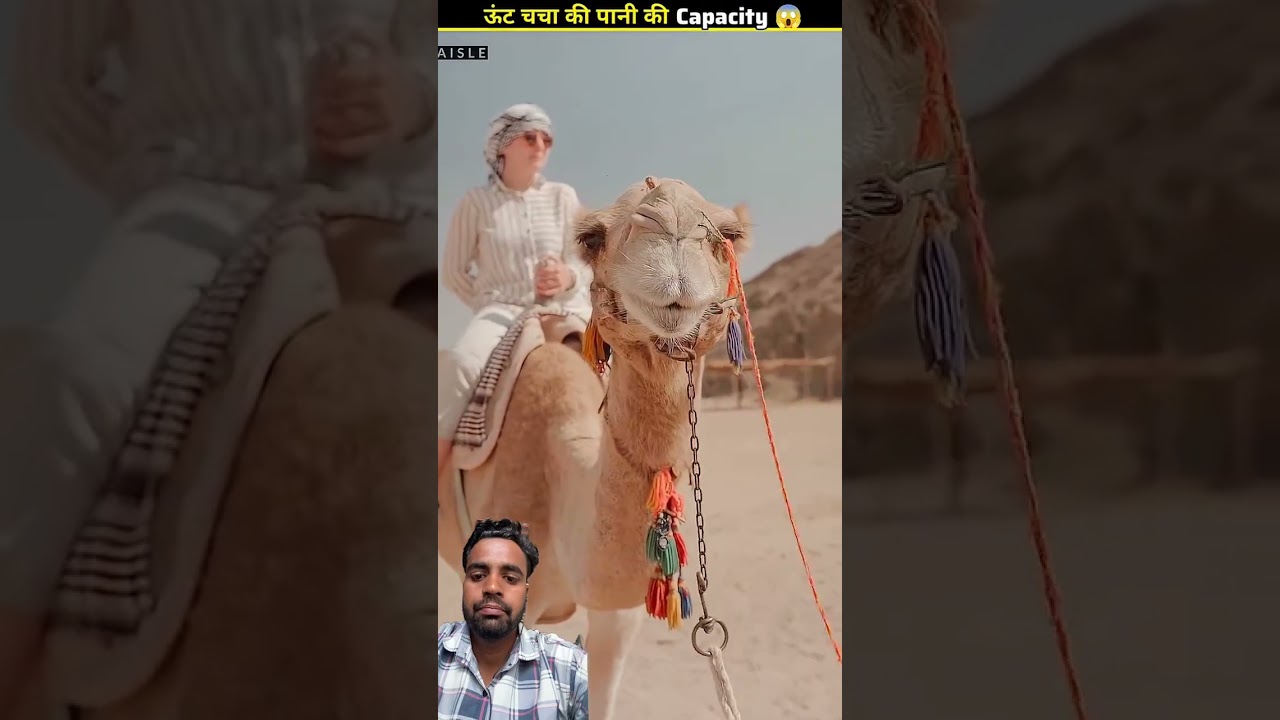 #amazingfacts #animals #entertament #moviefacts #tremendousfacts #tremendousfacts #movieknowledge