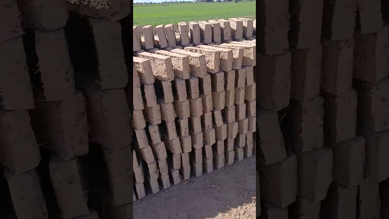 Nos fuimos ala ladrillera aver como se crean los ladrillos 