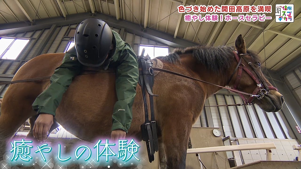 新そば＆馬セラピー！？ 色づき始めた開田高原へ（いいね！信州スゴヂカラ 2023年10月28日）