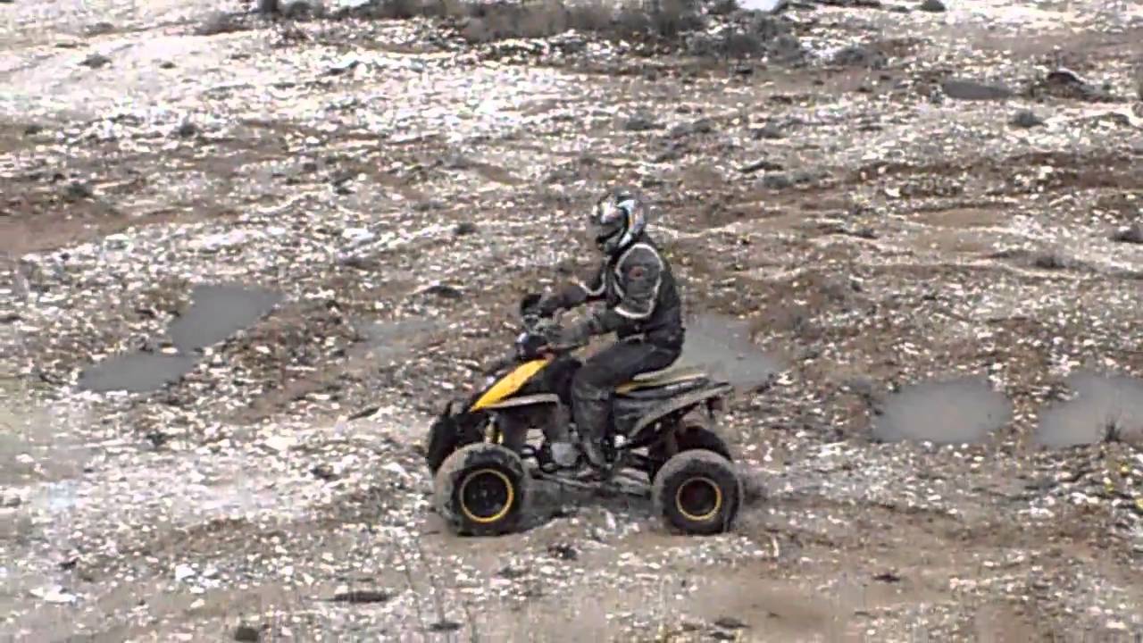 quad 250 shineray
