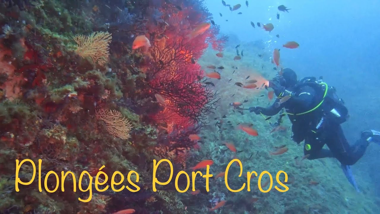PORT CROS  / ILE DU LEVANT - Plongée 4 jours