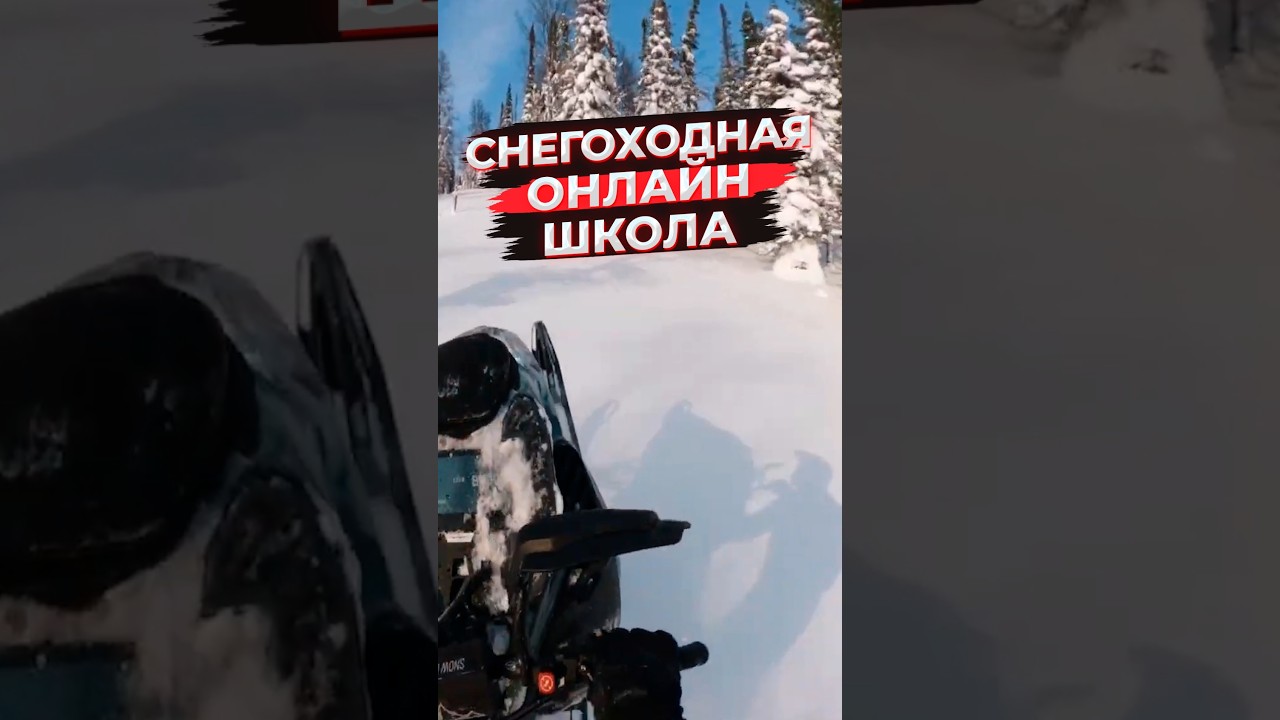 Первая снегоходная онлайн-школа! online.sledschool.ru