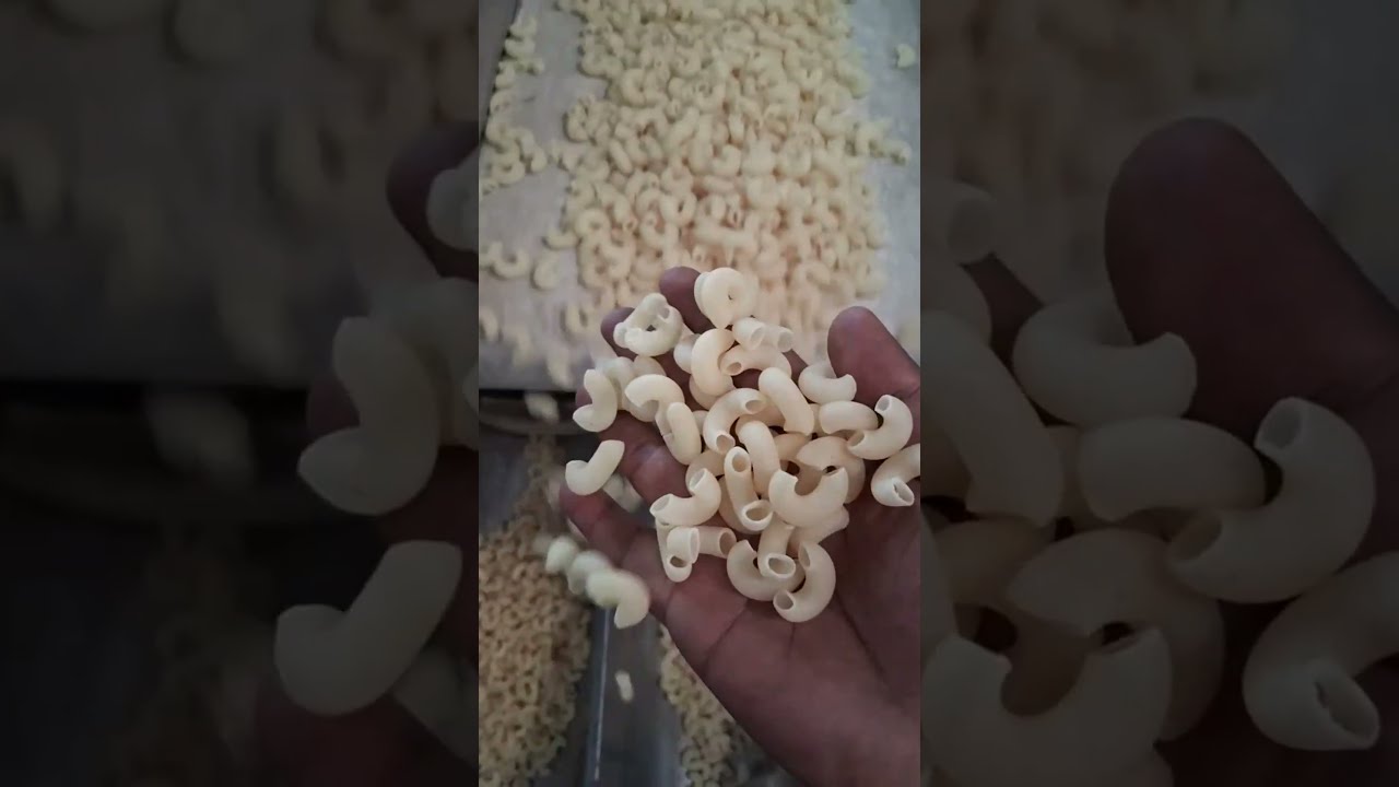 macroni pasta macking process in fen line machine
