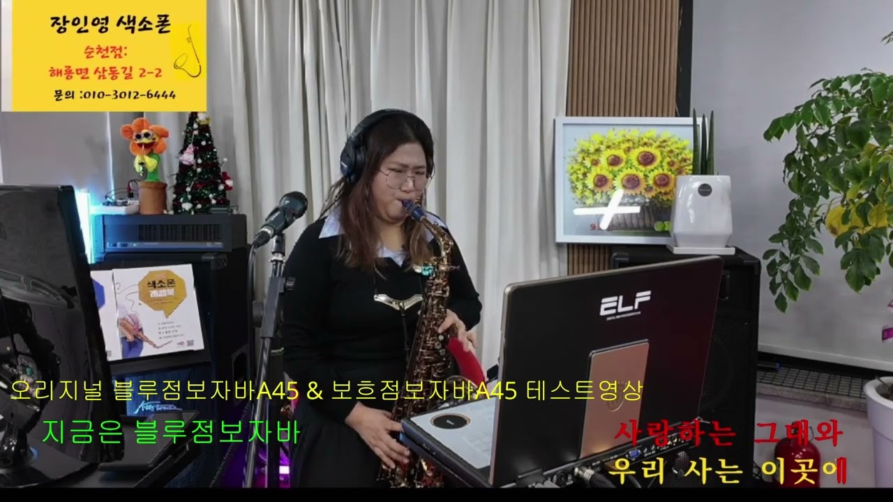 블루점보자바A45 & 보흐점보자바A45 비교
