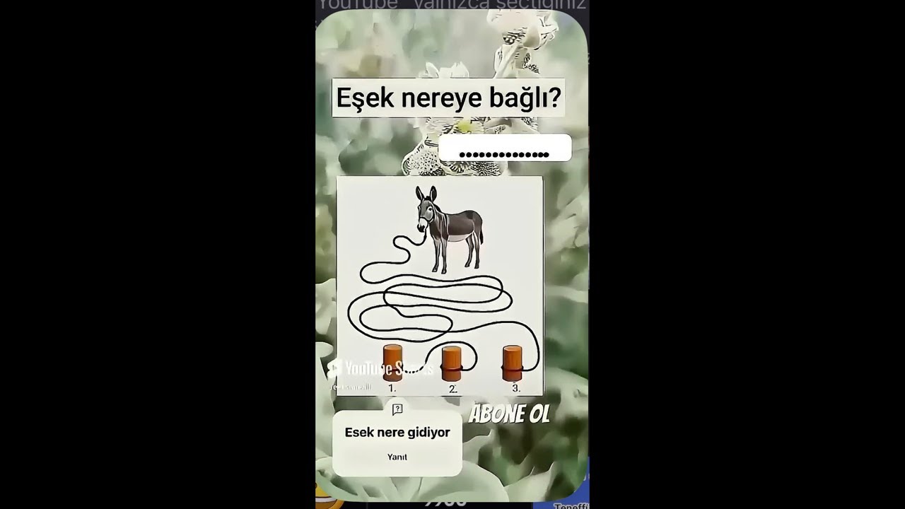 Sende