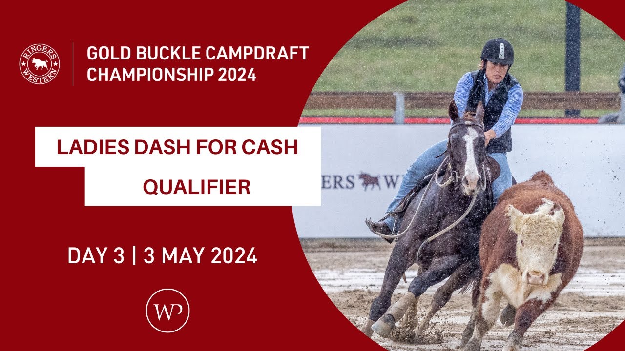 LADIES DASH FOR CASH | QUALIFIER  | 3 May 2024 | Ringers Western Gold Buckle Campdraft Championship