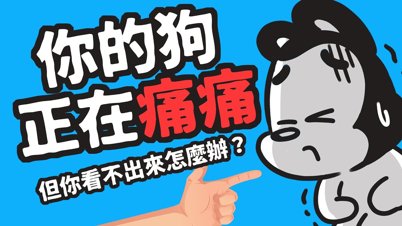 狗與鹿｜狗的忍痛能力是人類的20倍？｜你沒發現狗狗的疼痛，後果很嚴重！12種方法儘早察覺，儘早治療