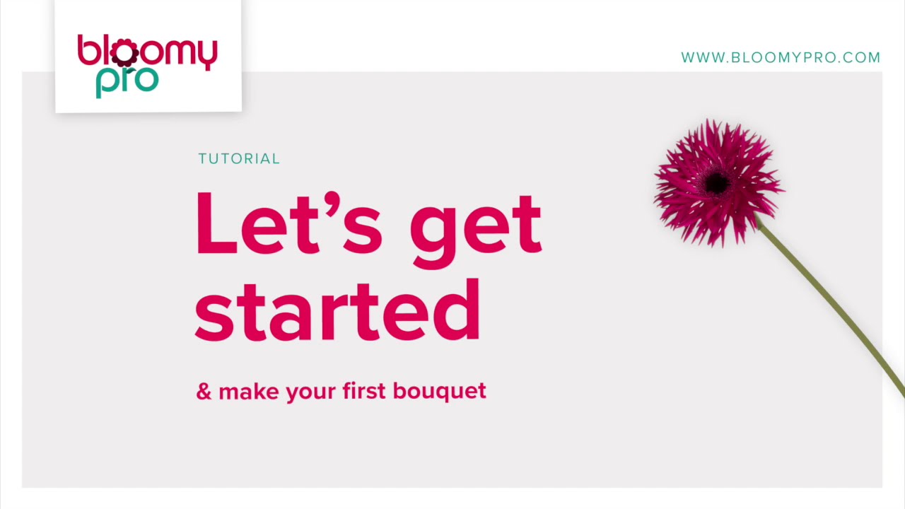 BLOOMY PRO - Let's get started